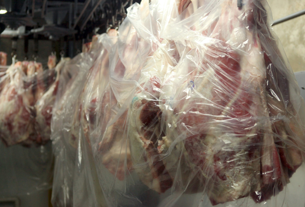 Lamb all wrapped up in plastic
