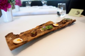 Blue Hill at Stone Barns | Johnny Prime