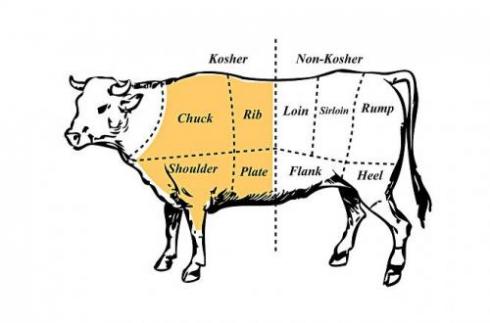 Kosher+cow+diagram