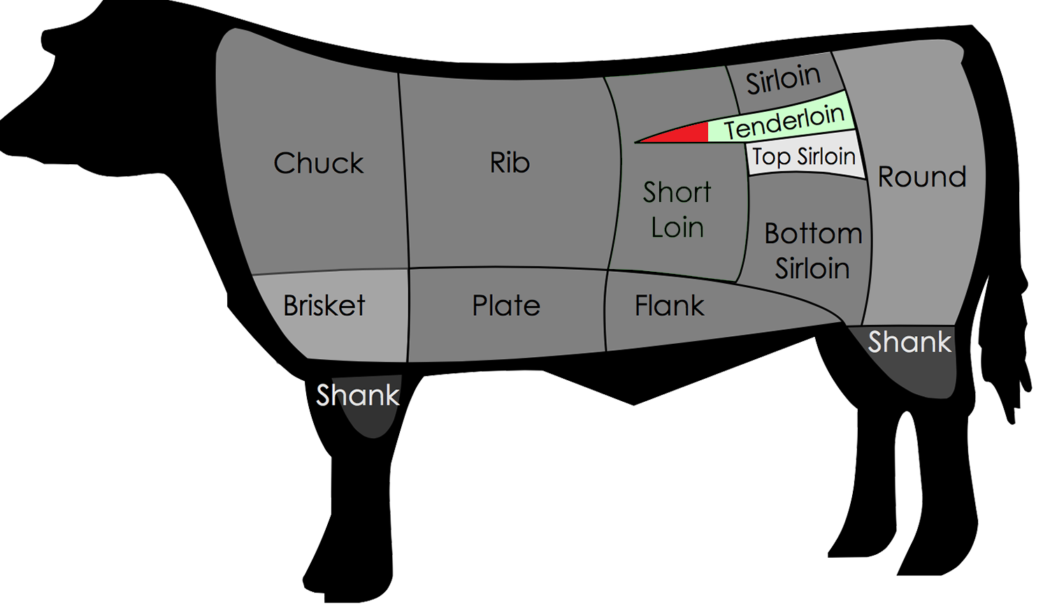 Beef Cuts Anatomy