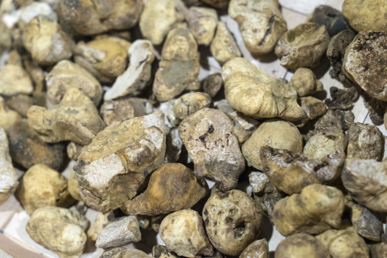 shaved truffles Johnny Prime