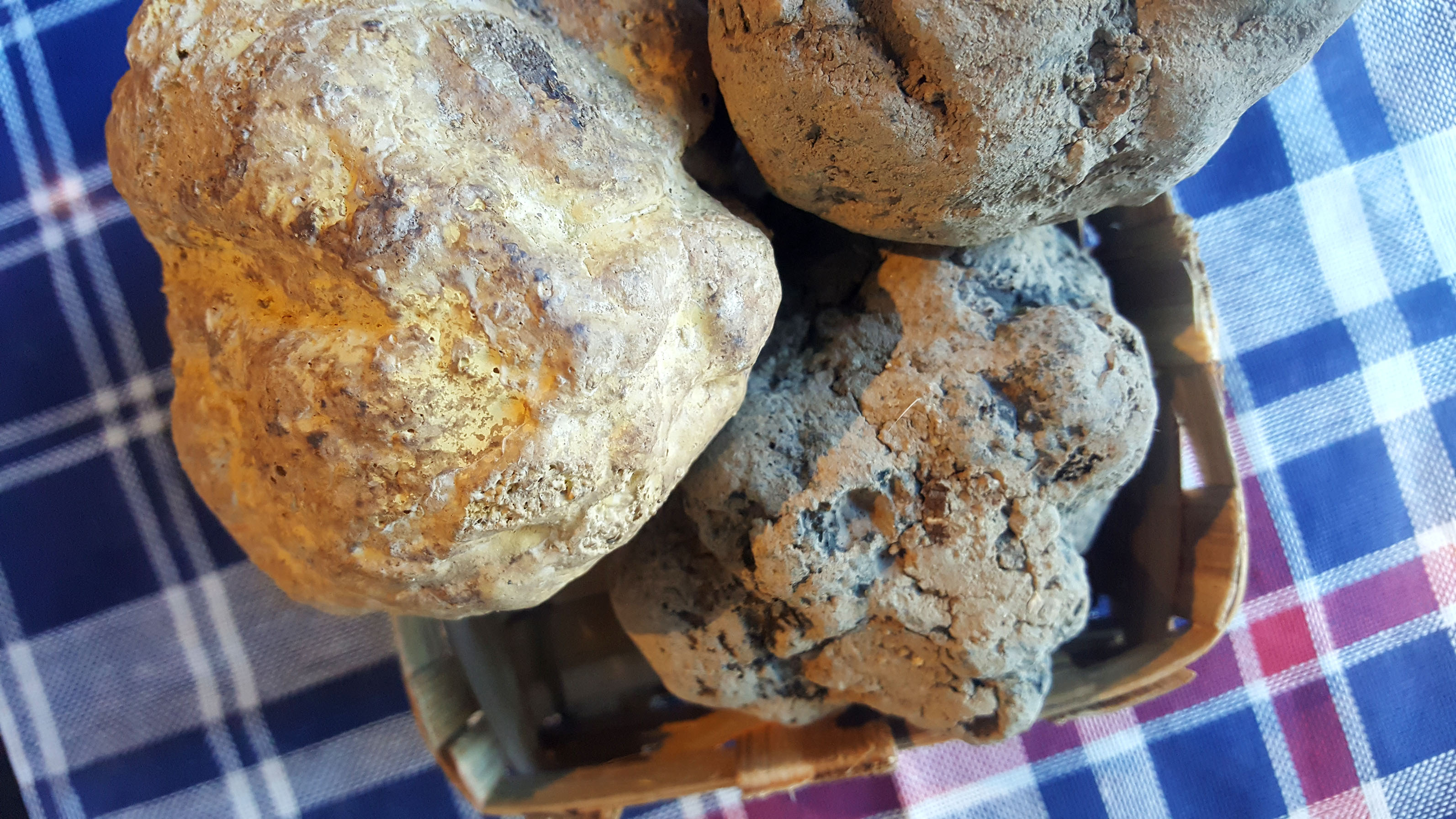 Urbani Truffles Johnny Prime