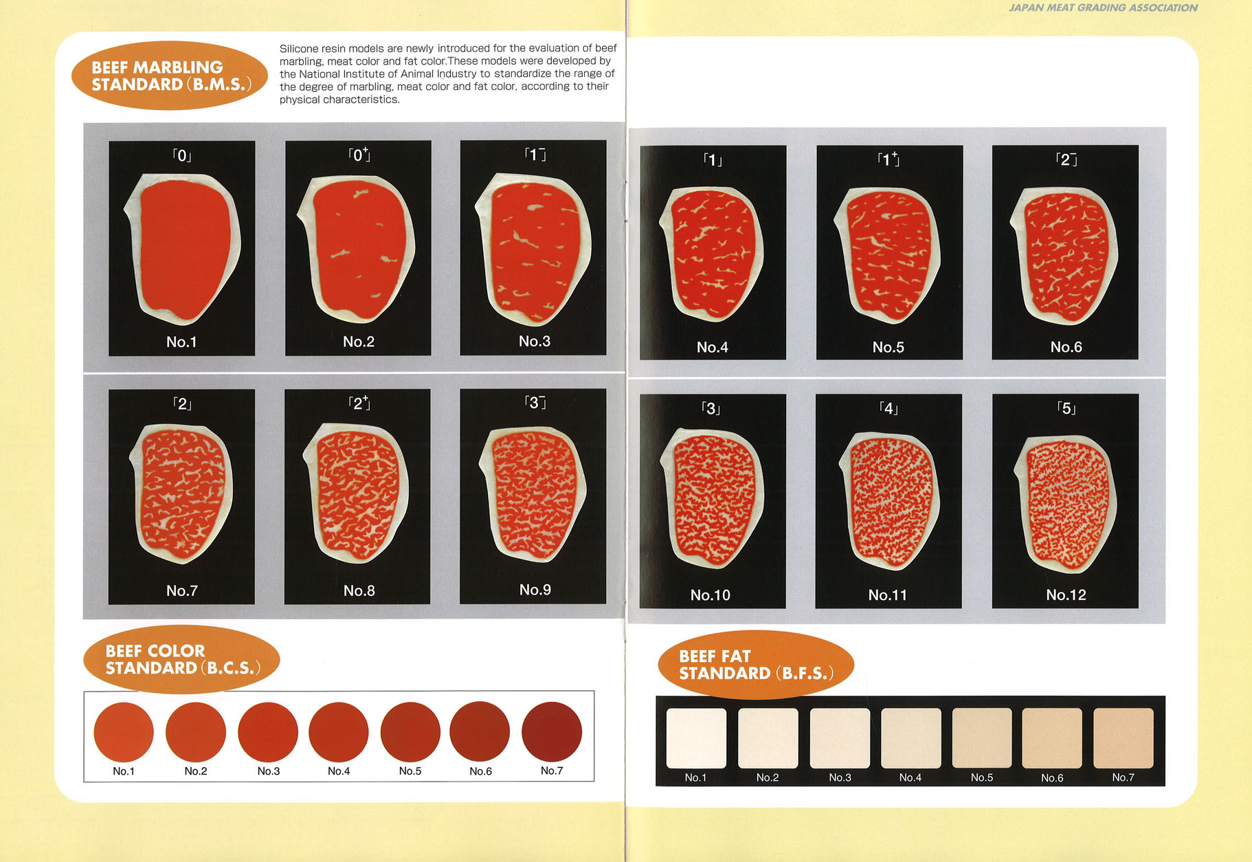 Japanese Beef Scoring Johnny Prime