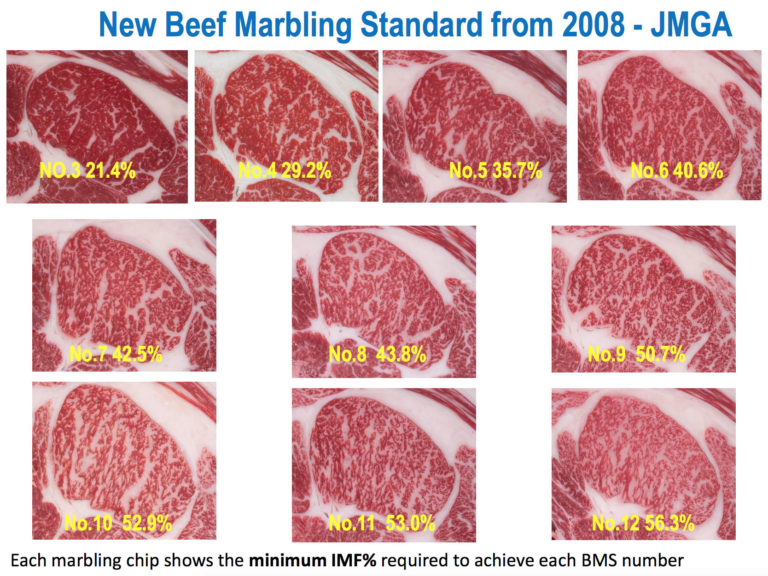 Japanese Beef Scoring Johnny Prime