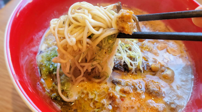 Signature Chashu Shio Ramen - Ramen Museum New York